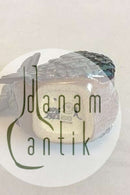 Royal Copenhagen Figurine Galapagos Pigeon No. 476/2952