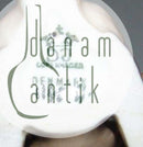 达尔-詹森图1140号直立式兔子DJ