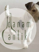 Bing & Grøndahl Figur Ruhåret engelsk foxterrier  No 1998