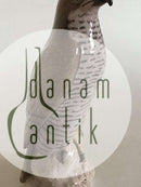 Bing og Grøndahl Figur af Spurvehøg No. 1892