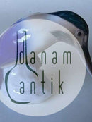 Bing & Grondahl Figurine kingfisher No 1885