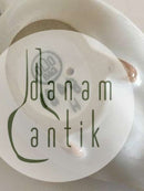 Bing & Grøndahl Figur Måge med fisk No 1808