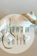 Bing & Grøndahl Figur af Bulldog No 1605. (Forkert nummereret No 100)