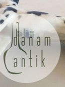 Royal Copenhagen Dalmatiner Figurine No. 3501