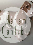 Bing og Grøndahl Figur Cocker Spaniel No. 2095