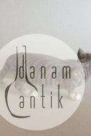 ビング＆グロンダール フィギュリン オブ キャット No 1844 ダール・イェンセン作。