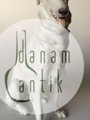 ビング＆グロンダール フィギュリン ボルゾイ座 No 1814