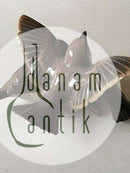 宾和格朗达图1670号的麻雀三重奏