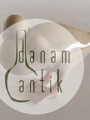 ビング＆グロンダール フィギュアダック No1588