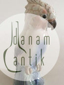 Dahl Jensen 鹦鹉图1051号