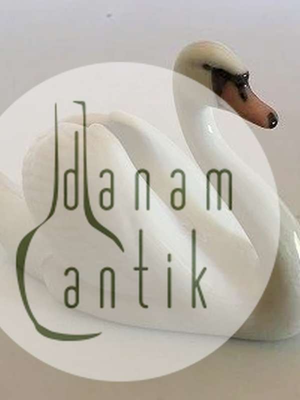 ロイヤルコペンハーゲン スワンフィギュリン No 755