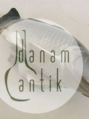 Royal Copenhagen Figurine af Karpe No. 562