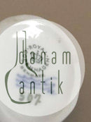 Royal Copenhagen Figurine Frog on Rock No 507