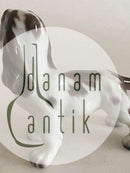 Lyngby Porcelæns Figur Cocker Spaniel Hund No 72