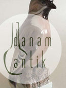 Lyngby Figur af Fugl "silkehale" No 6