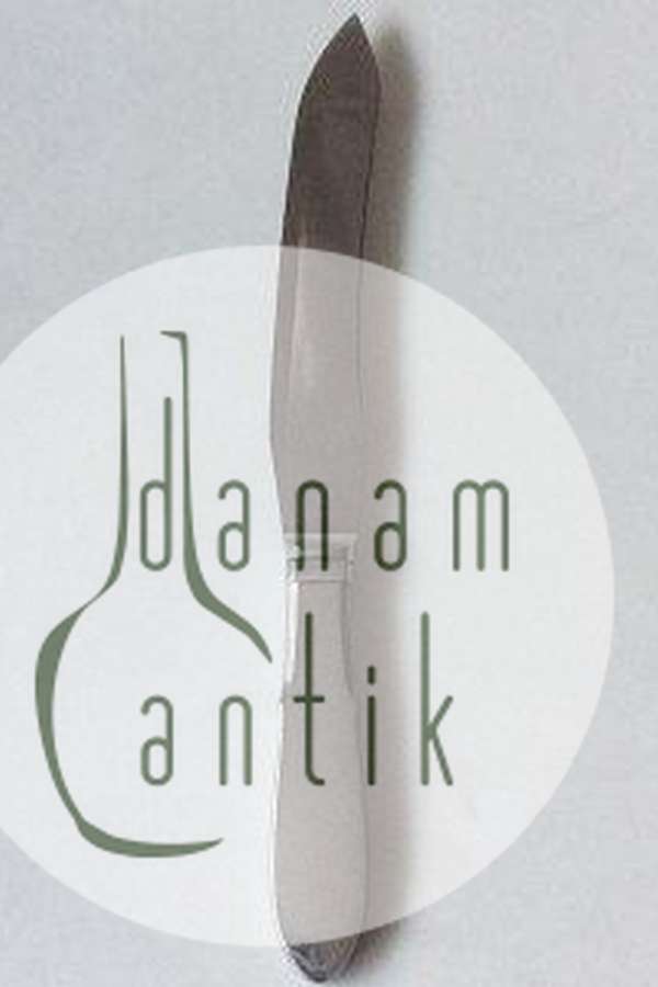 Georg Jensen Stainless Mat "Mitra" Forskærerkniv