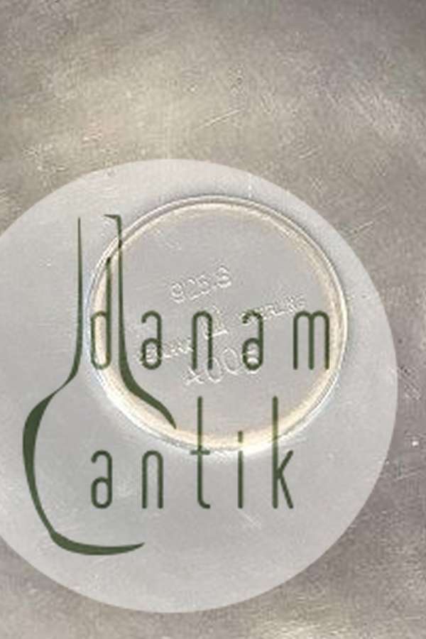 Georg Jensen Sterling Sølv Låg No 4005