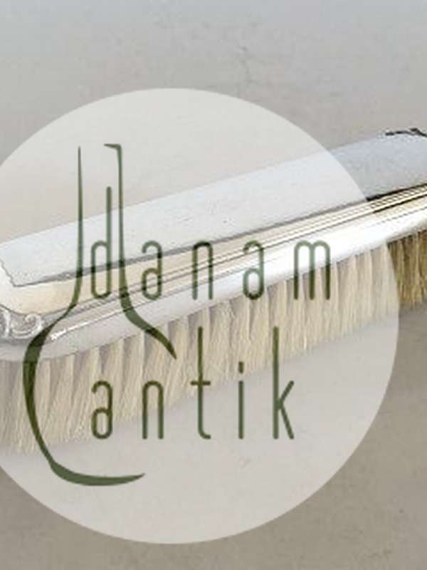 Georg Jensen Børste No. 172 med Håndtag i Sterling Sølv.