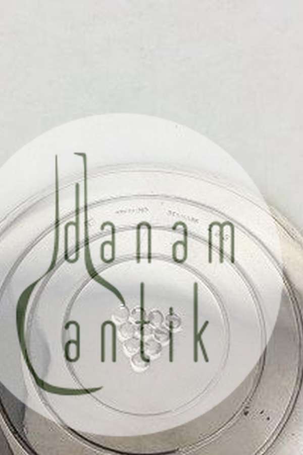 Georg Jensen Sterling Sølv Glasbakker no 193