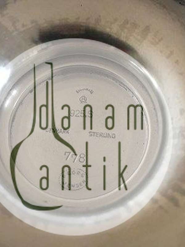 Georg Jensen Sterling Sølv Gundorph Albertus Skål No 778