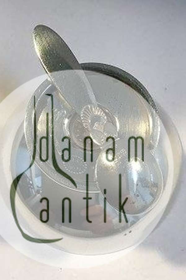 Georg Jensen Sterling Sølv Kaktus Saltkar(Grøn emalje) No 629 A samt Saltske