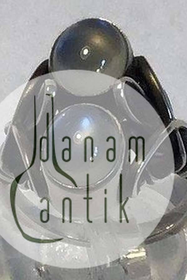 Georg Jensen Sterling Sølv Ring No 48 Månesten