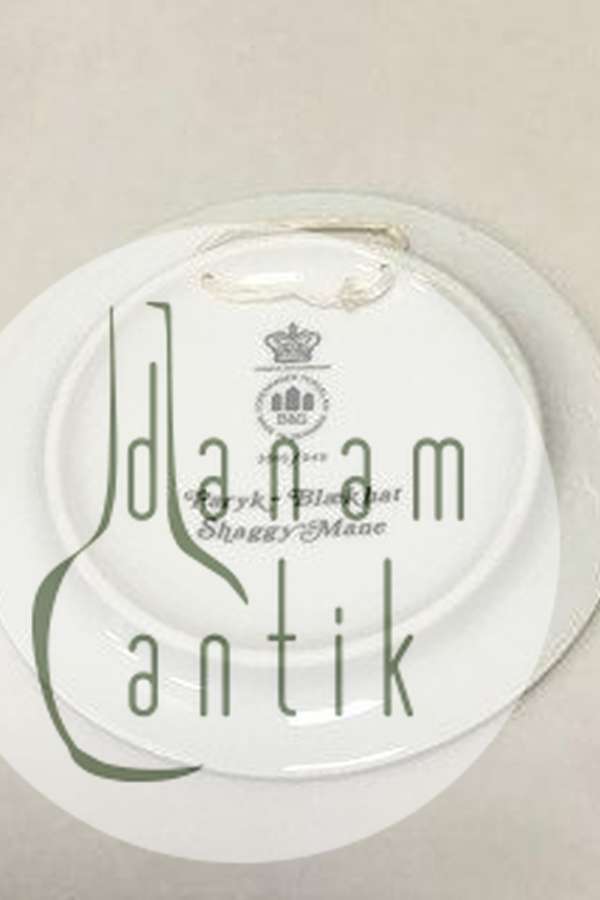 Bing & Grøndahl Svampeplatte No 3515/949