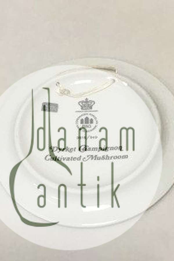 Bing & Grøndahl Svampeplatte No 3516/949