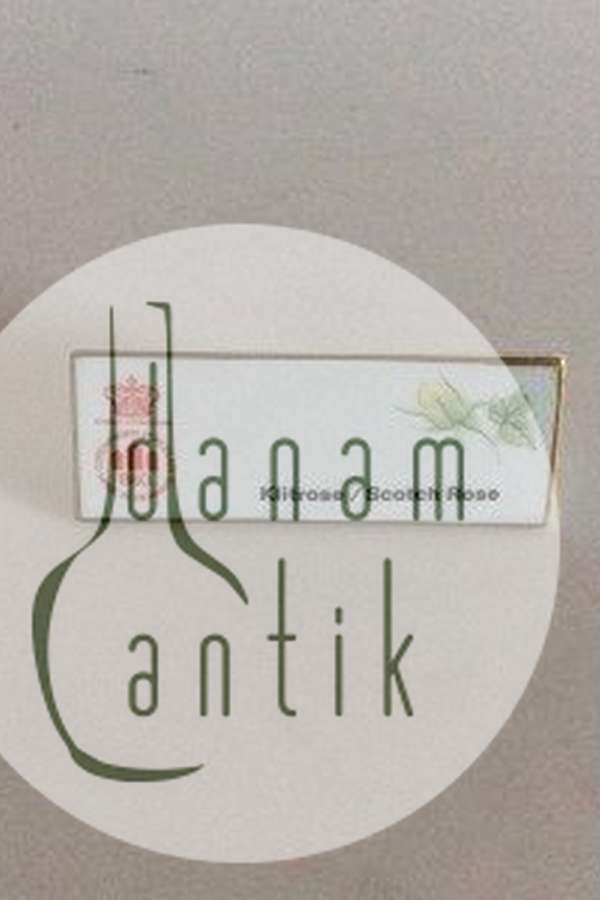 Bing & Grøndahl Dealer Advertising Sign "Klitrose / Scotch Rose"