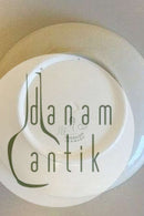 1919年的铝制朱利安纳板