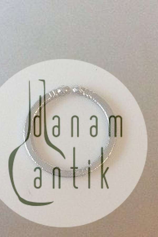 Georg Jensen Sterling Sølv Konge Serviet Ring No 208