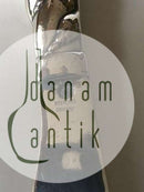 Georg Jensen Sterling Sølv Ornamental Ostekniv No. 166