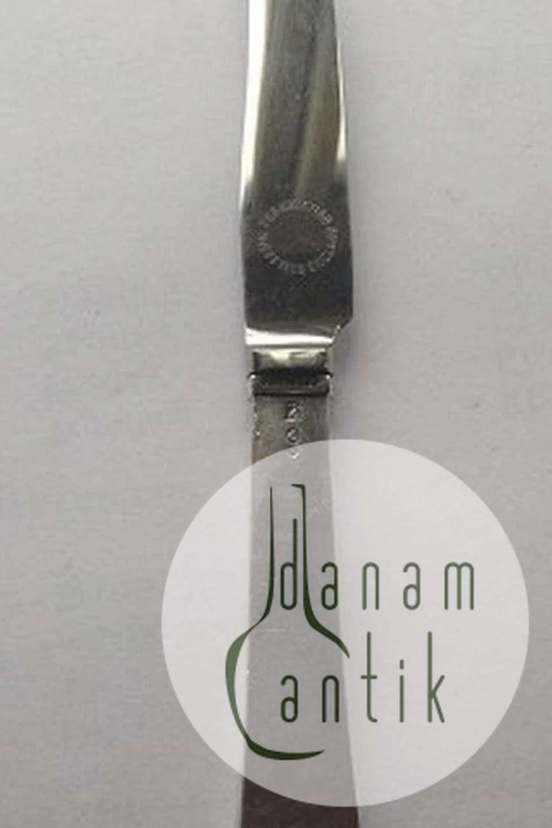 Georg Jensen Pyramide Frugtkniv No 072