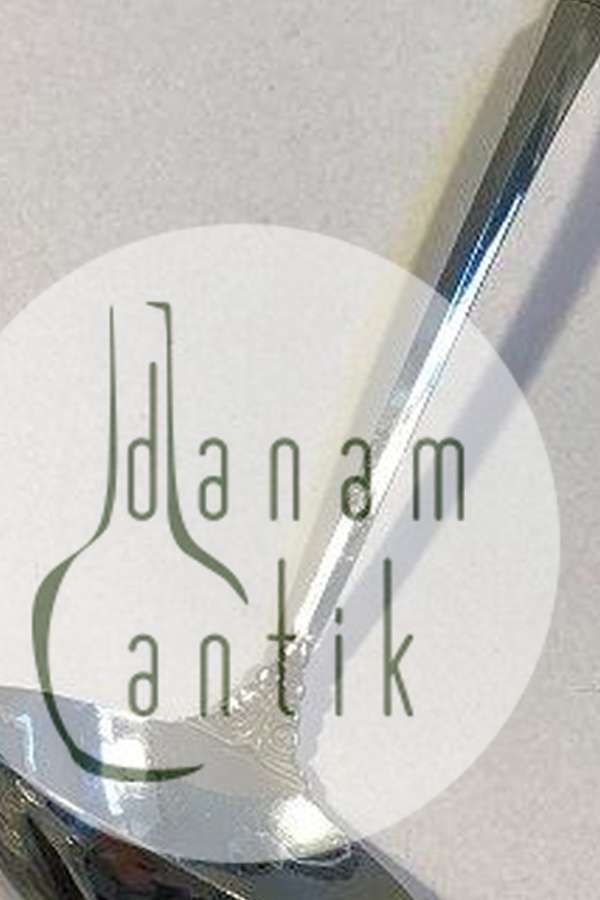 Georg Jensen Sterling Sølv Dronning Sauceske No 153B