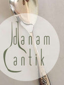 Georg Jensen Accents纯银服务勺