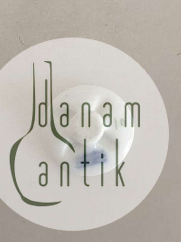 Royal Copenhagen Porcelænsknap med Håndmalet Blomstermotiv