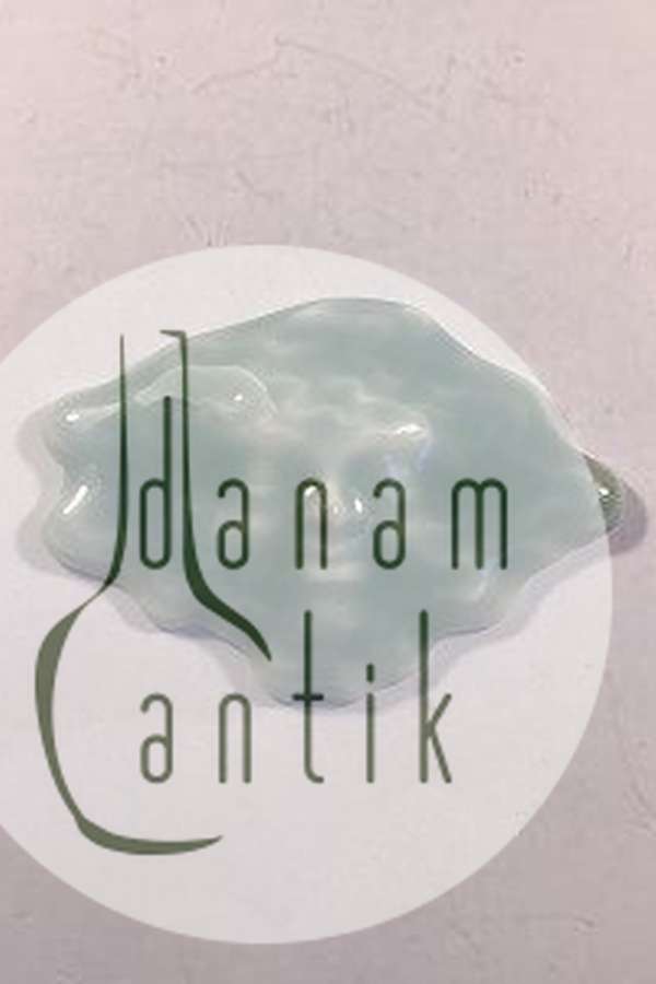 Royal Copenhagen Porcelæns smykke af Arje Griegst