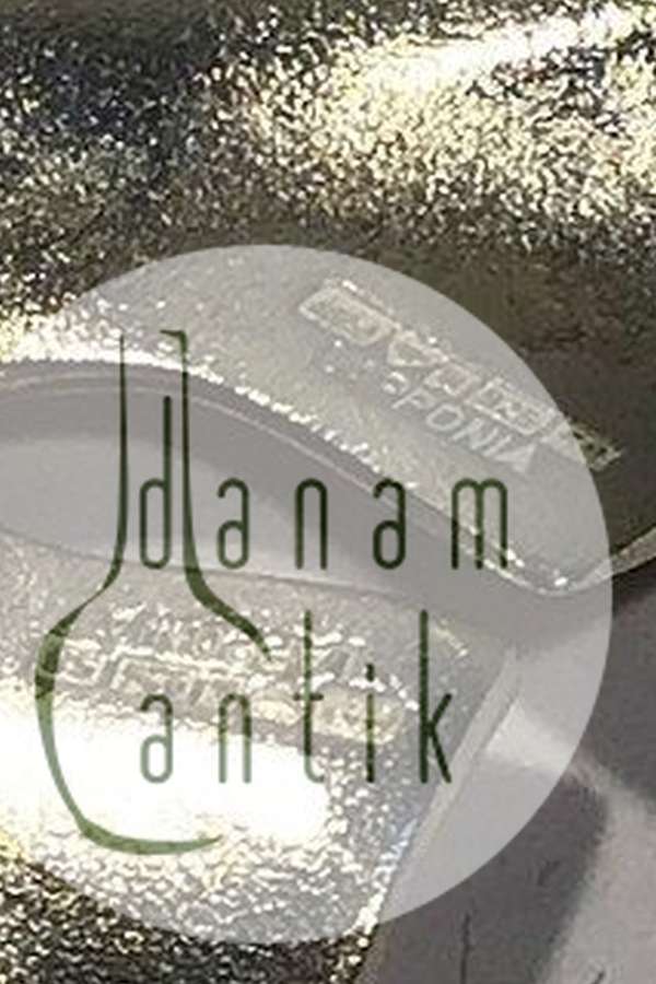 Lapponia Sterling Sølv Ørestikker