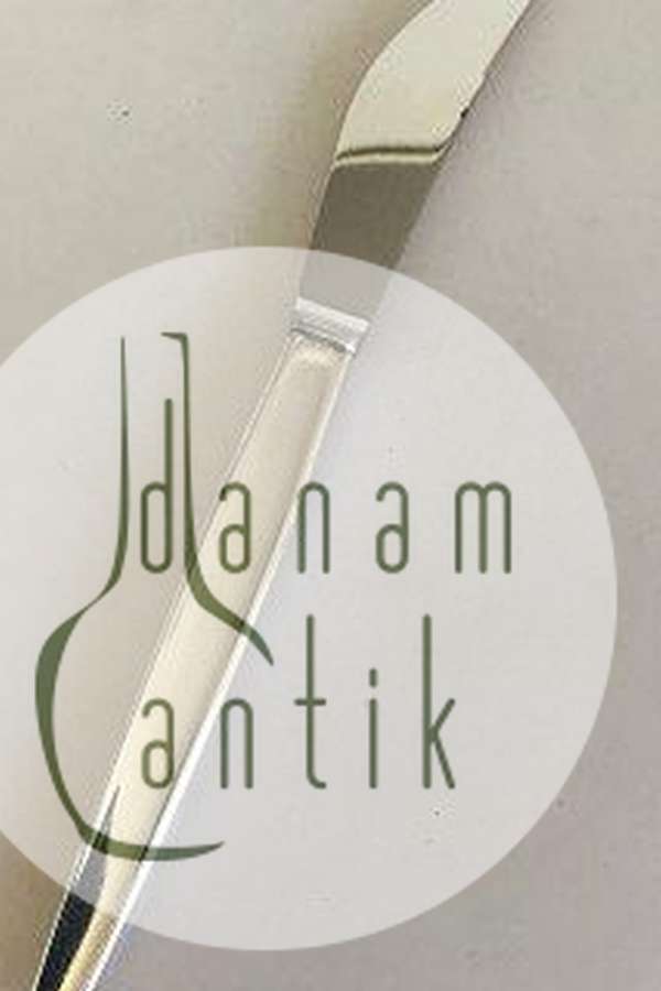 Georg Jensen Sterling Silver サイプレスフルーツナイフ No 072