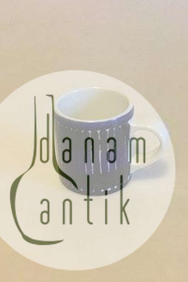 アラビア フィンランド バレンシア マグ