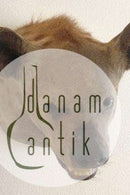 Hyena Head Mount, Large