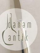 "Rex" Spisekniv i Sølv og Rustfrit Stål. 21.5 cm. W & S Sørensen