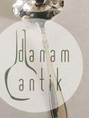 "Rex "银制肥皂勺。18厘米。W &amp; Sørensen