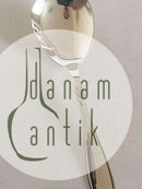 "Rex "银质服务勺，21.2厘米。W &amp; Sørensen