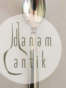 来自W & S Sørensen的Karina银质甜点勺子