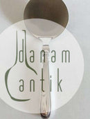 科尔精英银色塔特雷特勺，带钢制顶部