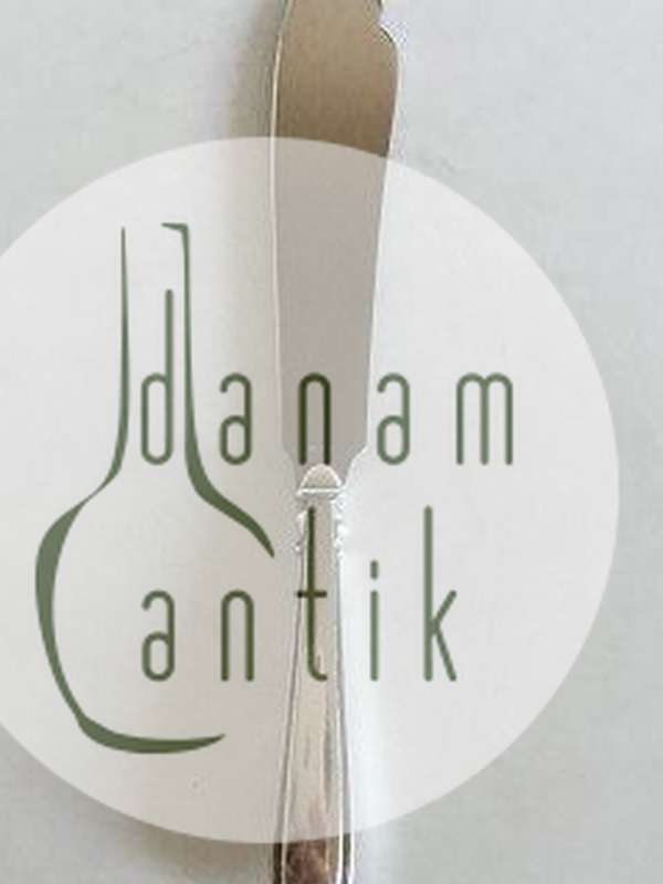 Cohr Elite Silber Schichtkuchenmesser mit Stahlklinge