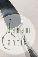 A. Michelsen Ida Serveringsspade i Sterling Sølv