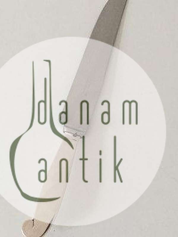 Evald Nielsen No 29 Sølv Forskærekniv