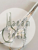 Evald Nielsen No 6 Scissor in All Silver with Grape Ornament.